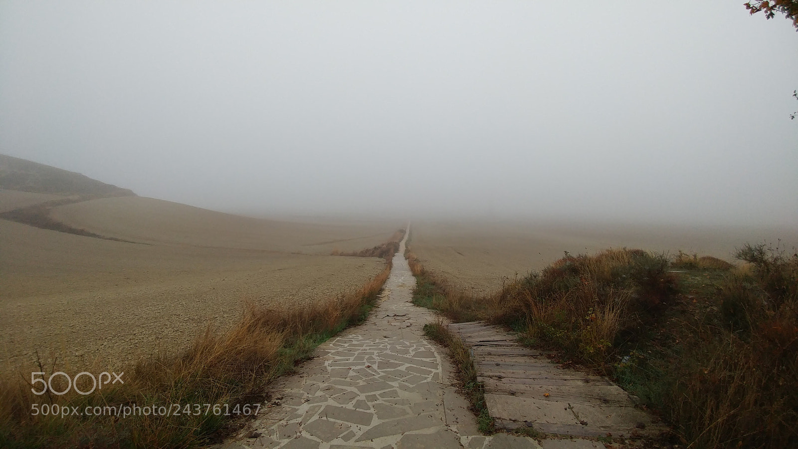 LG G5 sample photo. Camino de santiago de photography