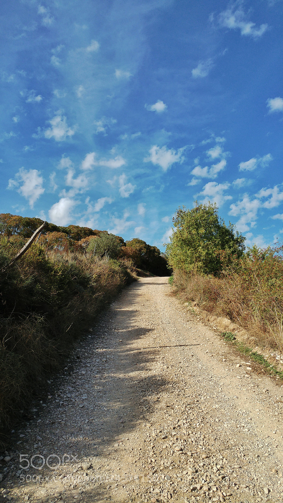 LG G5 sample photo. Camino de santiago de photography