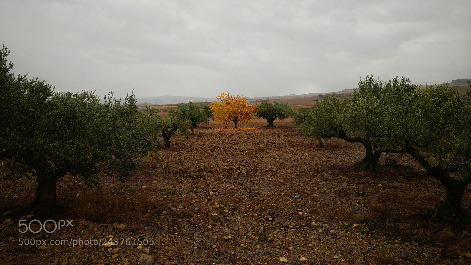 LG G5 sample photo. Camino de santiago de photography