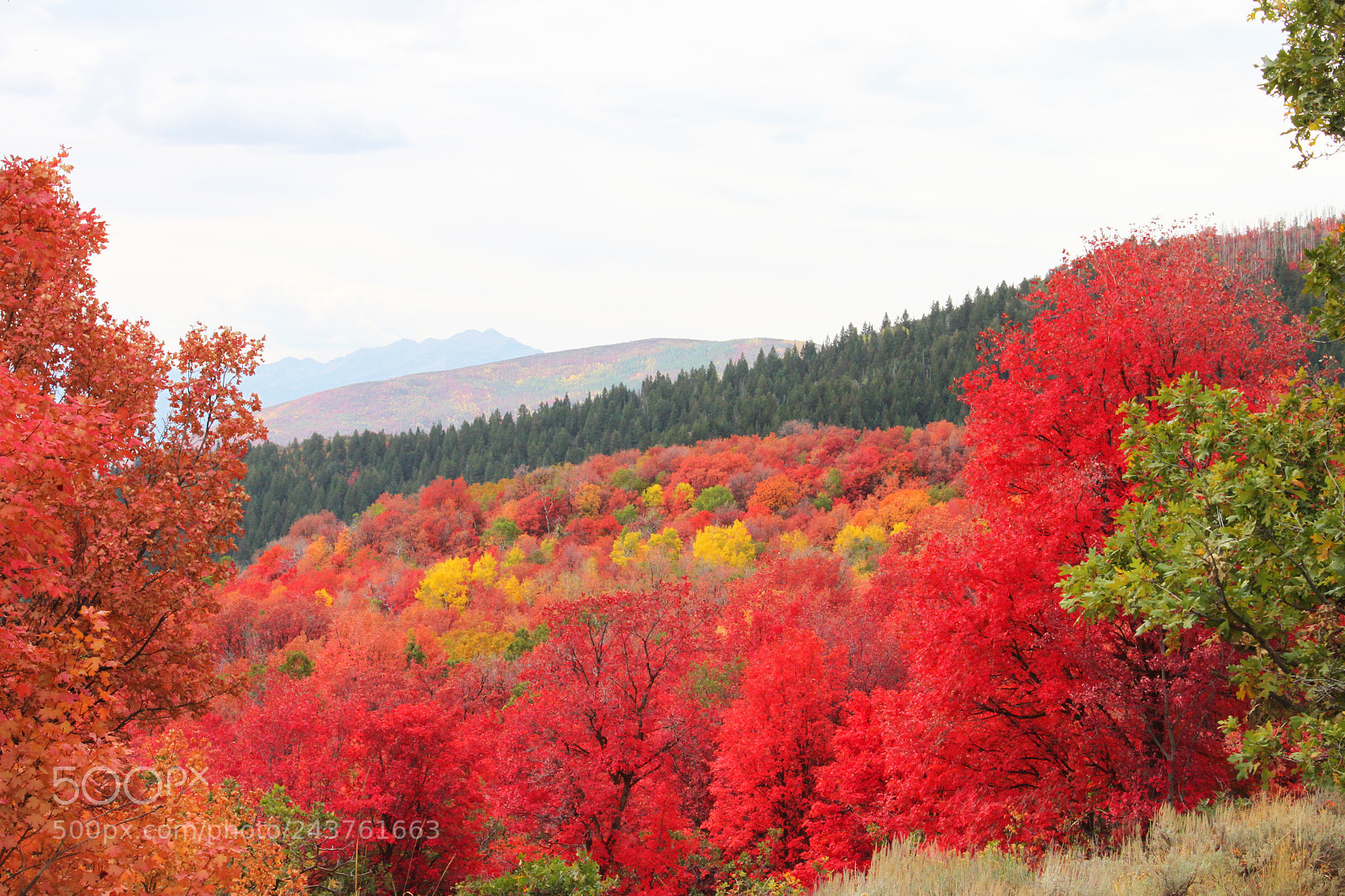 Canon EOS 500D (EOS Rebel T1i / EOS Kiss X3) sample photo. Fall photography