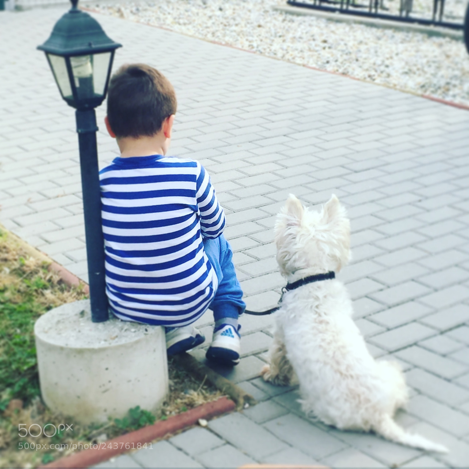 Apple iPhone 6 sample photo. Friends :) photography