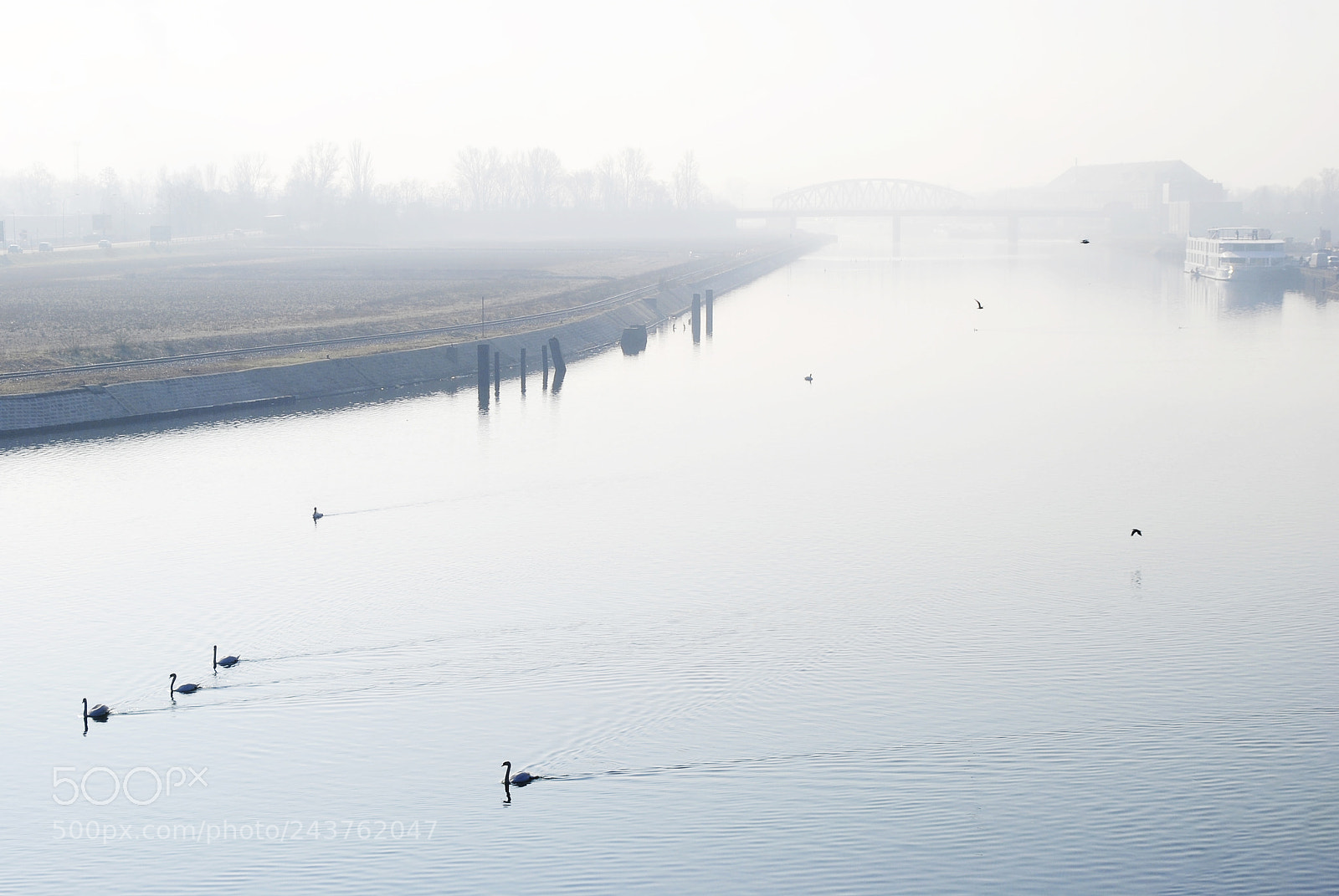 Nikon D3000 sample photo. Harbor mornings photography