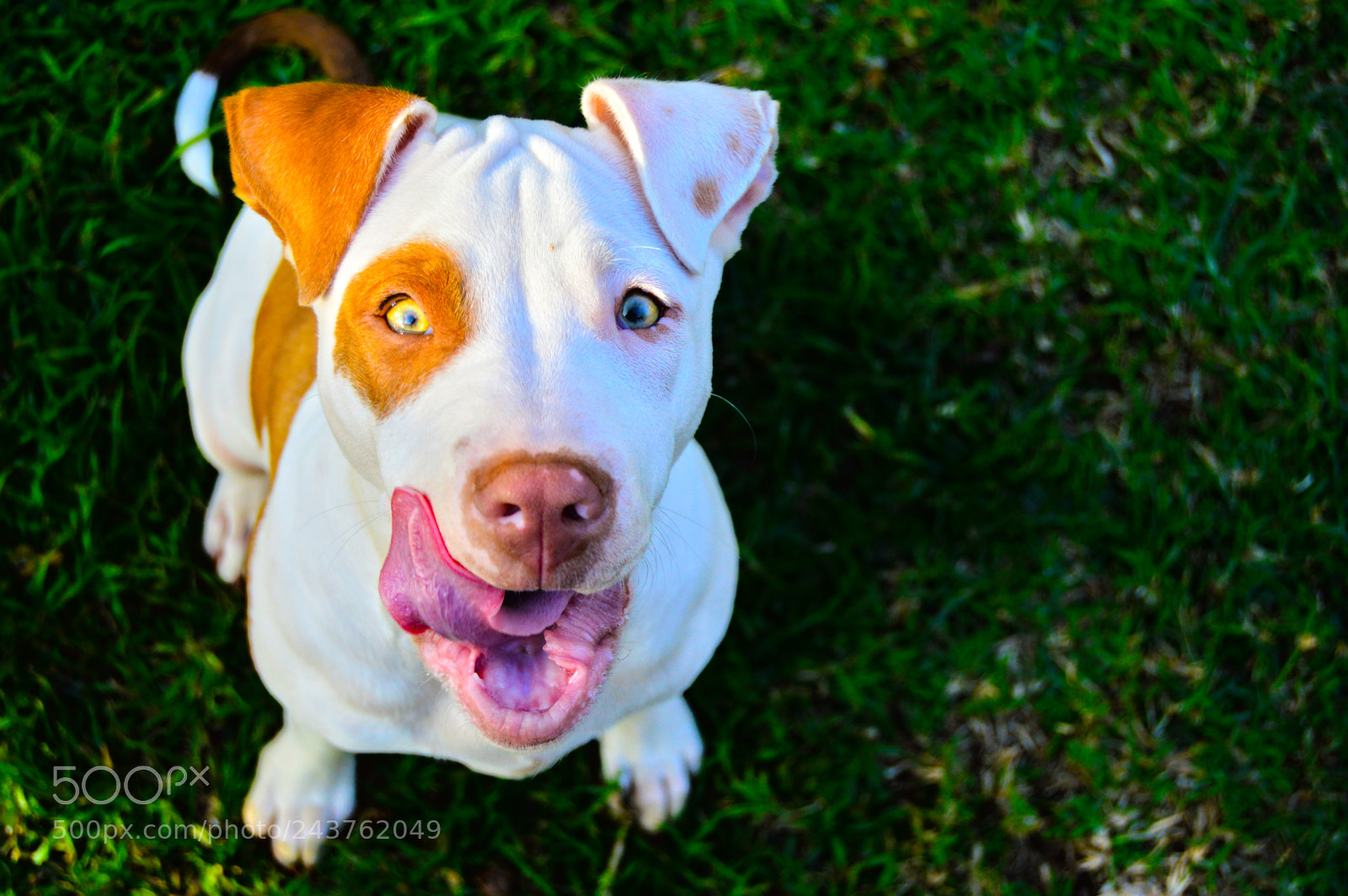 Nikon D3200 sample photo. Dsc photography