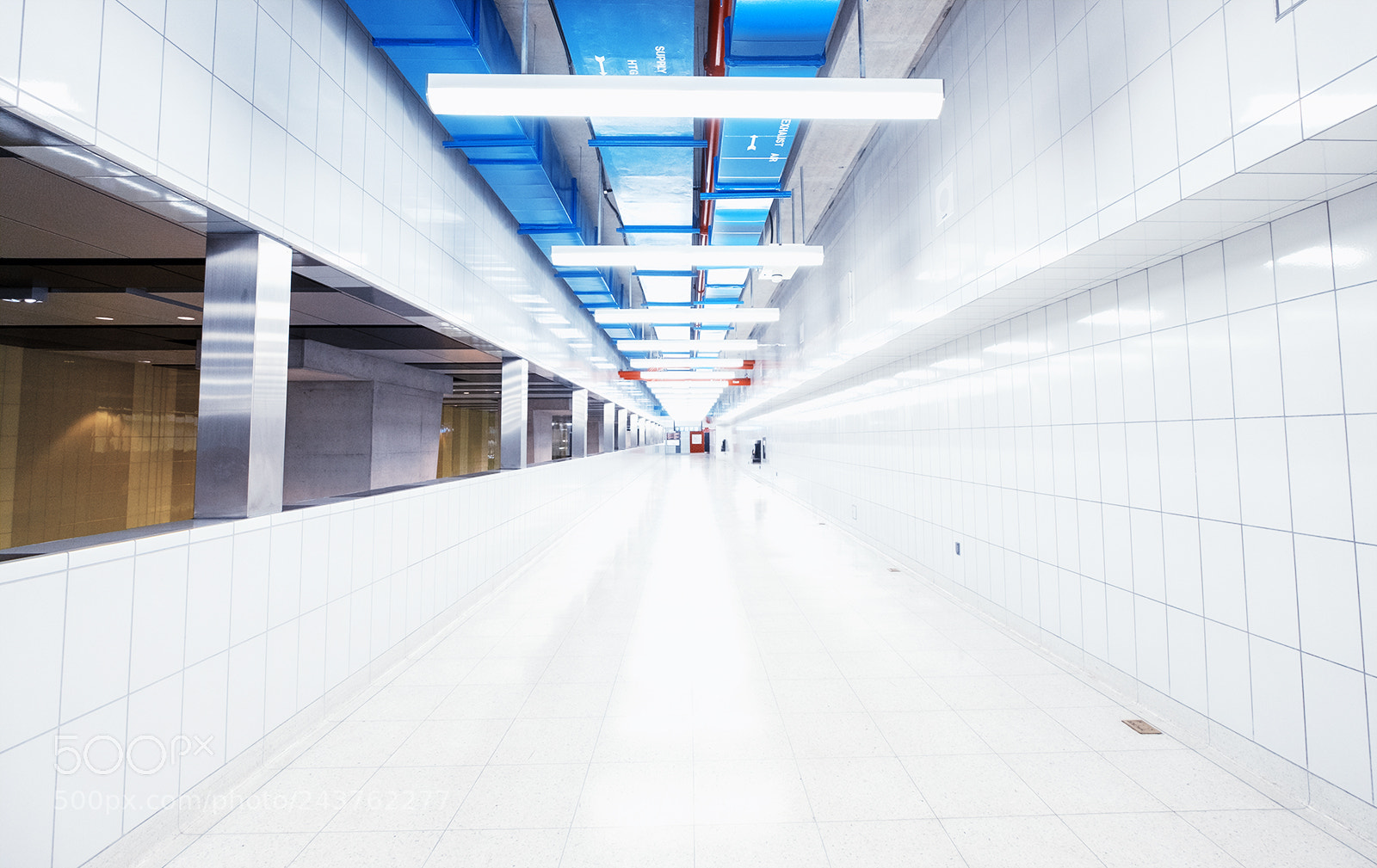 Fujifilm X-T1 sample photo. Finch west ii photography