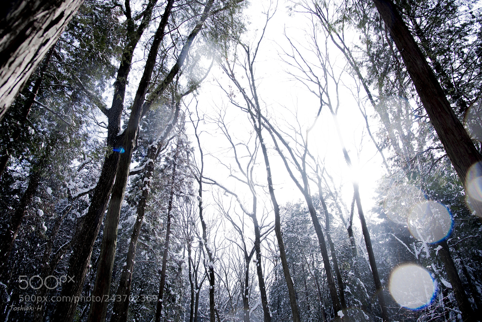 Nikon D810 sample photo. Untitled photography