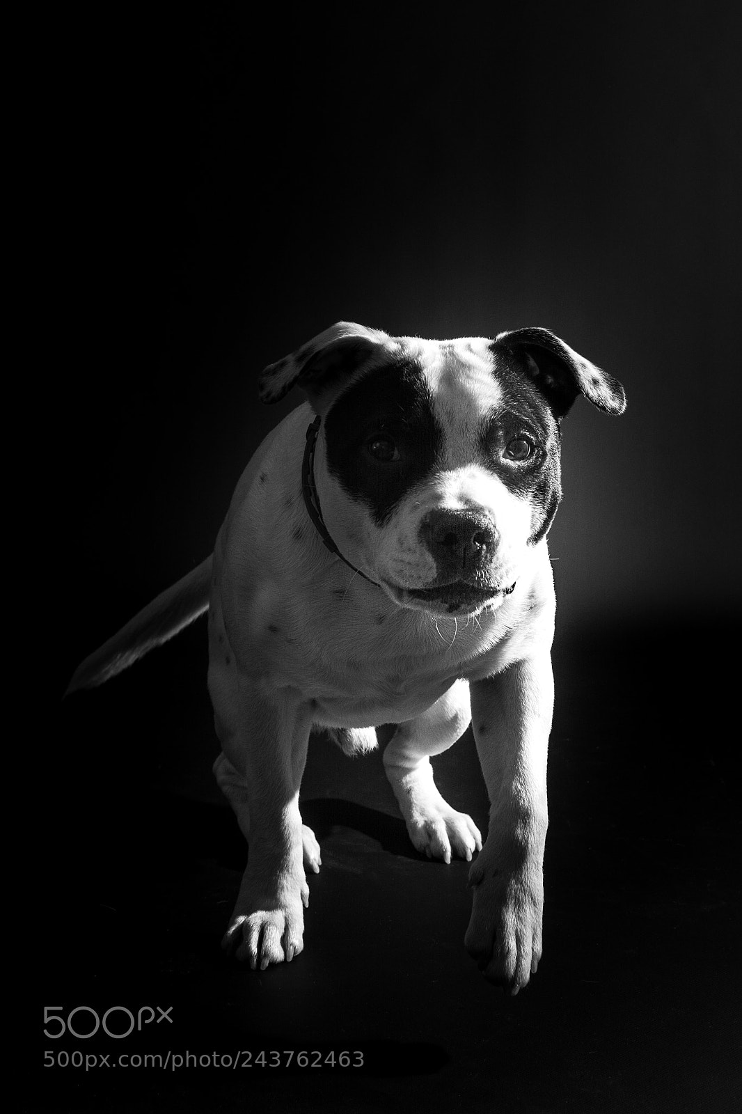Nikon D7100 sample photo. Untitled photography