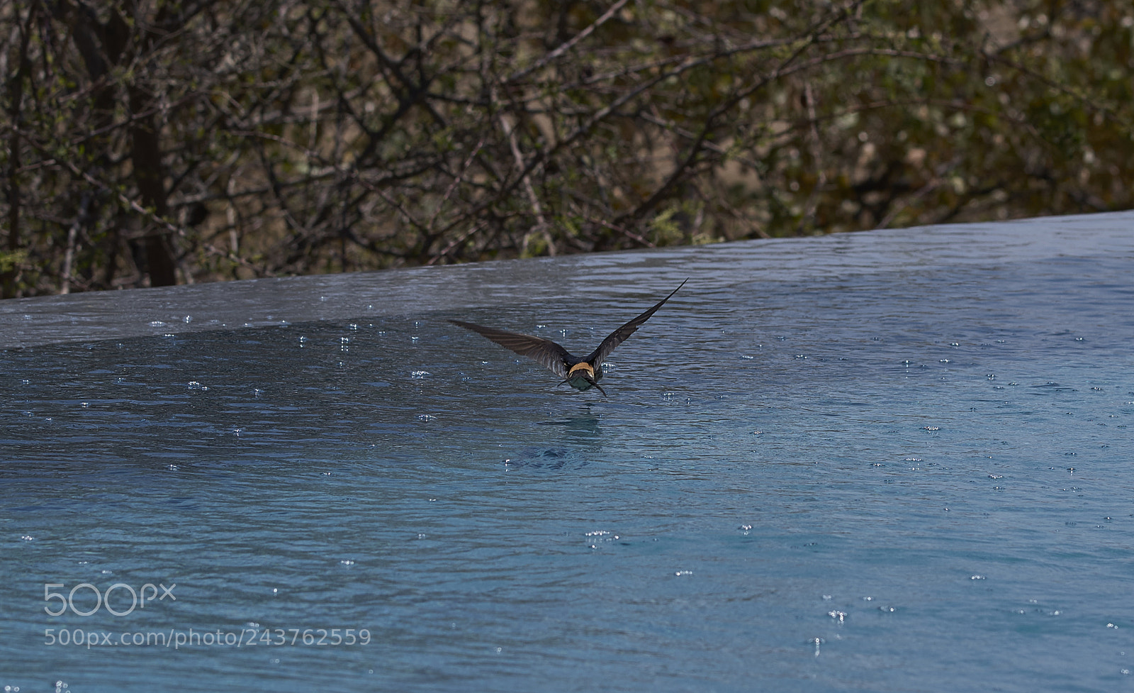Pentax K-1 sample photo. Untitled photography