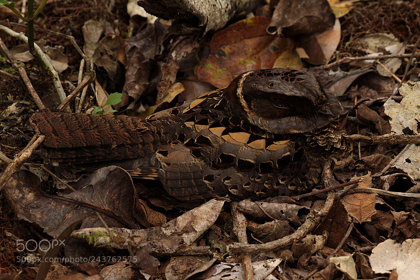 Canon EF 70-300mm F4-5.6 IS USM sample photo. 9261151190.jpg photography