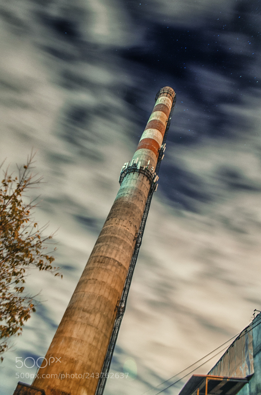 Nikon D5100 sample photo. Wape tube photography