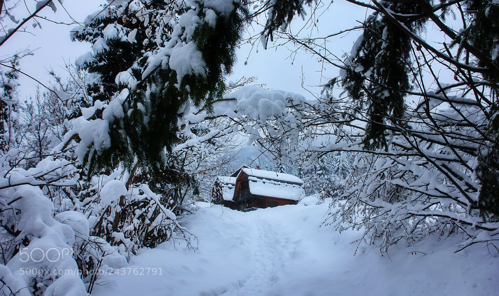 Sony DSC-R1 sample photo. After a blizzard photography