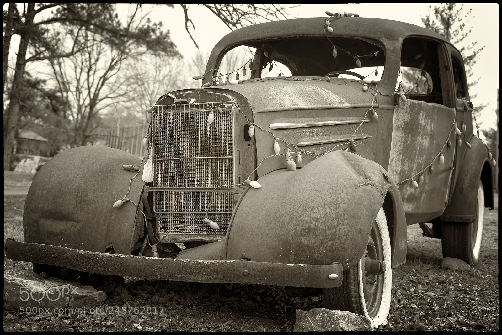 Leica M Monochrom (Typ 246) sample photo. Just a decoration now photography