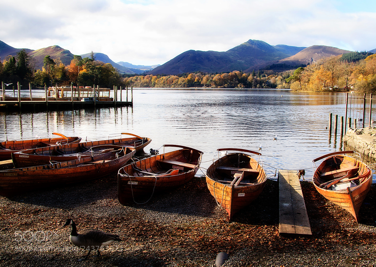 Canon EOS 500D (EOS Rebel T1i / EOS Kiss X3) sample photo. Rowing boats in autumn photography