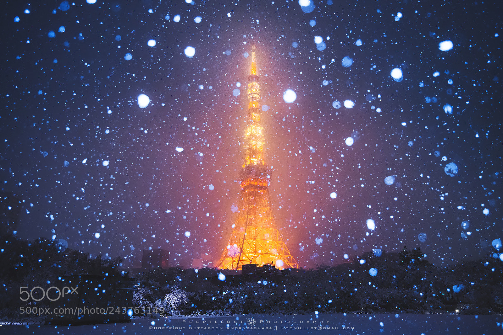 Nikon D750 sample photo. Tokyo tower in snow photography