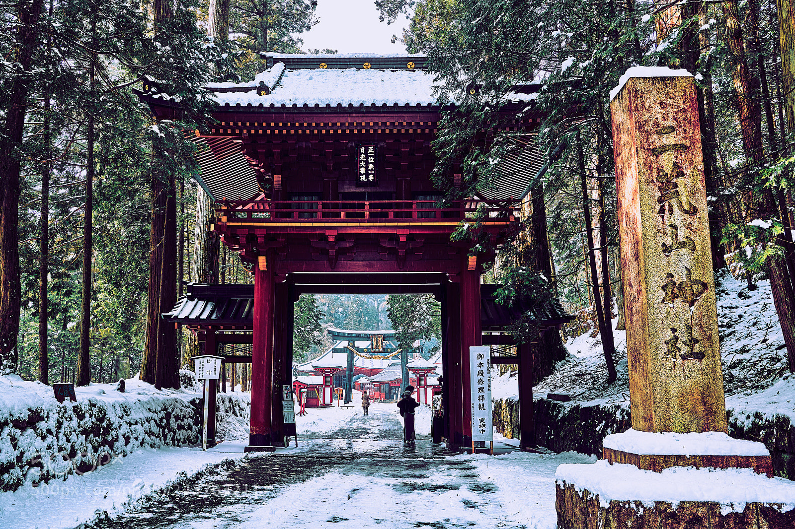 Nikon D850 sample photo. The shrine gate photography