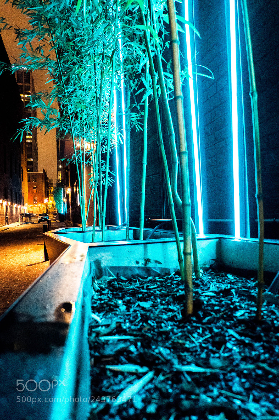 Fujifilm X-T20 sample photo. Neon dreams photography