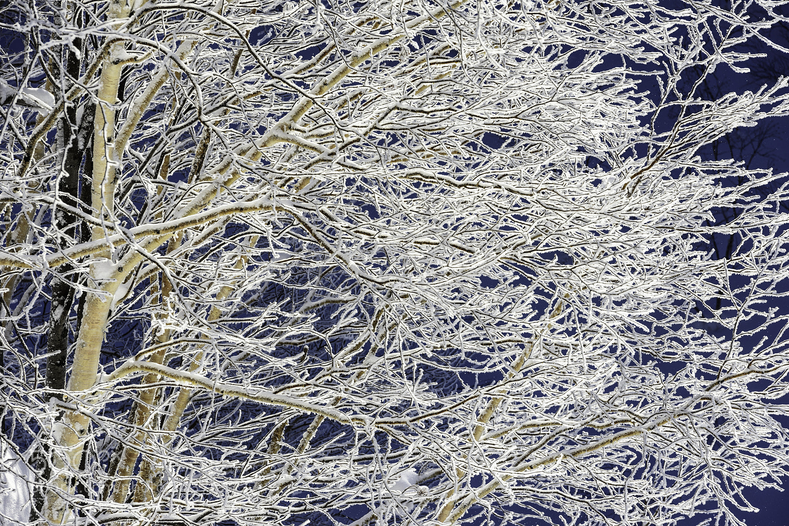 Nikon D800 sample photo. Freezing photography