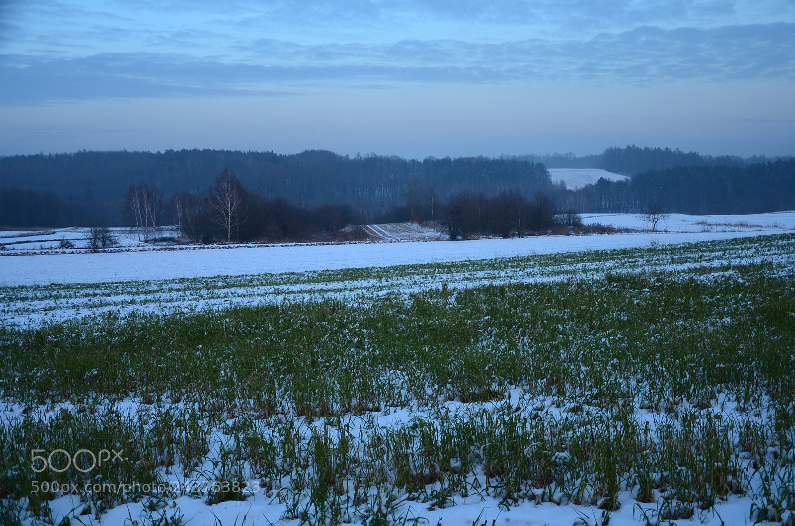 Nikon D5100 sample photo. 287 photography