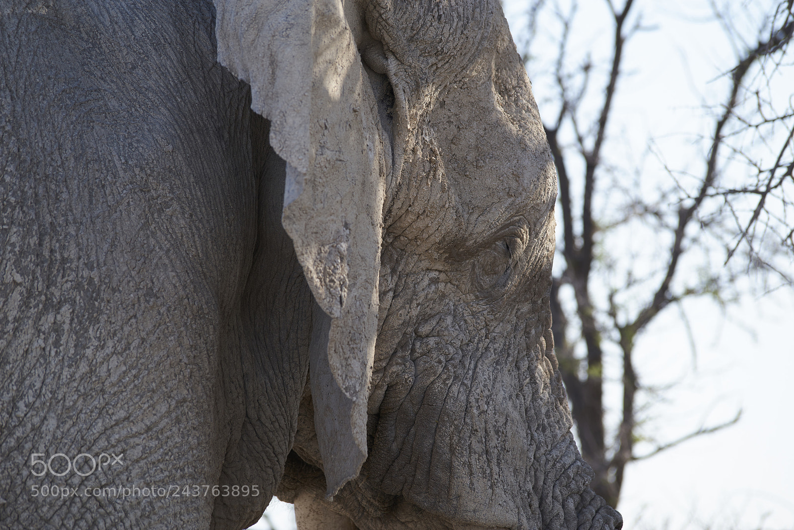 Pentax K-1 sample photo. Untitled photography