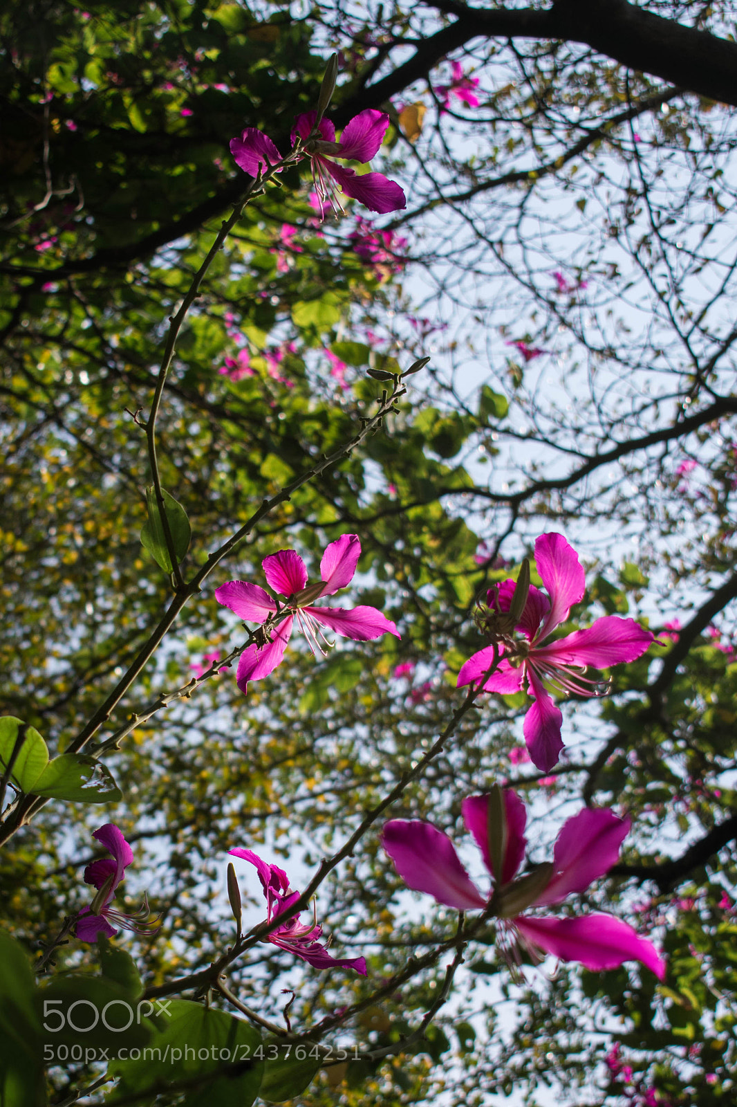 Nikon D3400 sample photo. Untitled photography