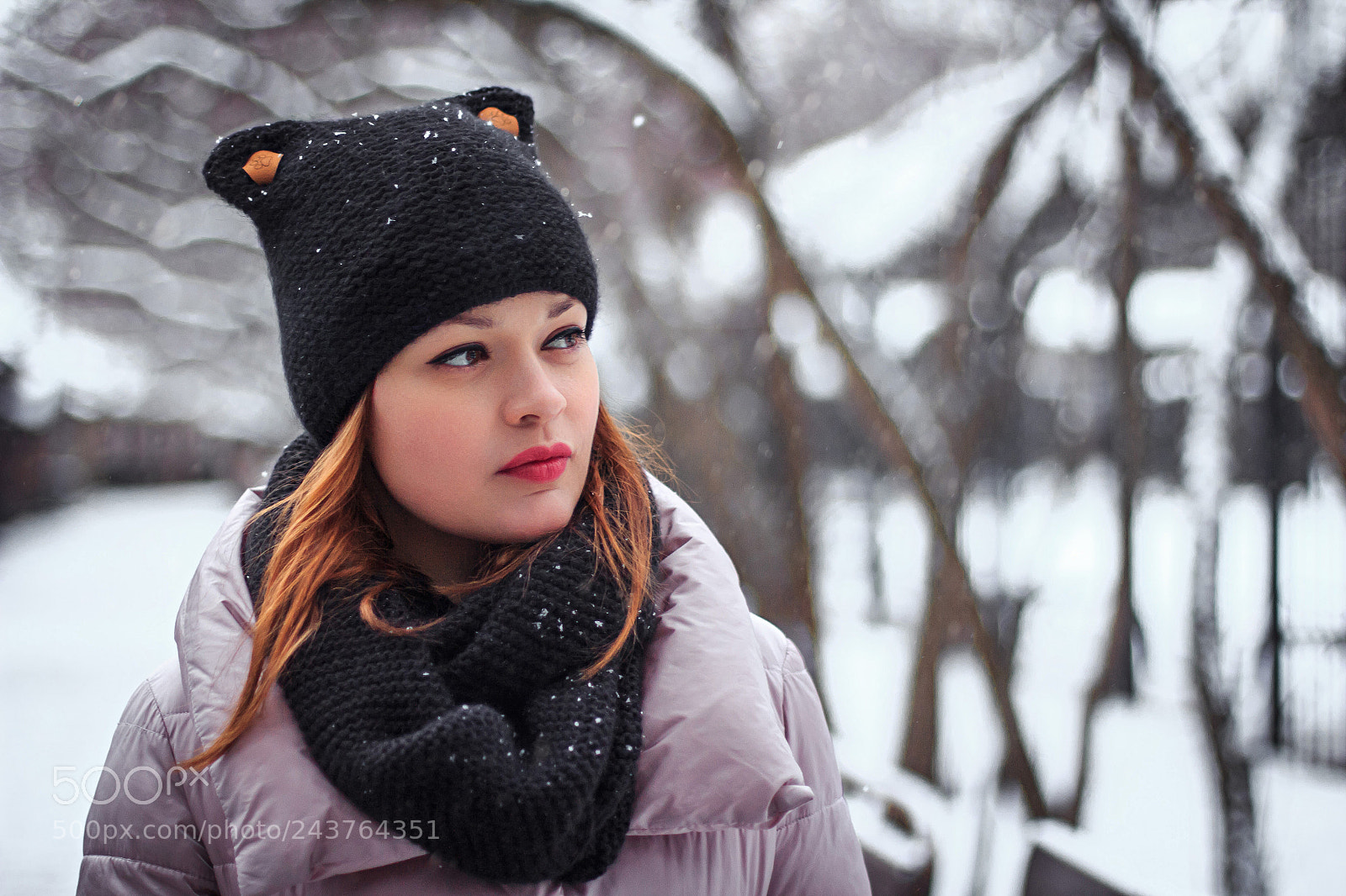Canon EOS 60D sample photo. Зимняя сказка photography