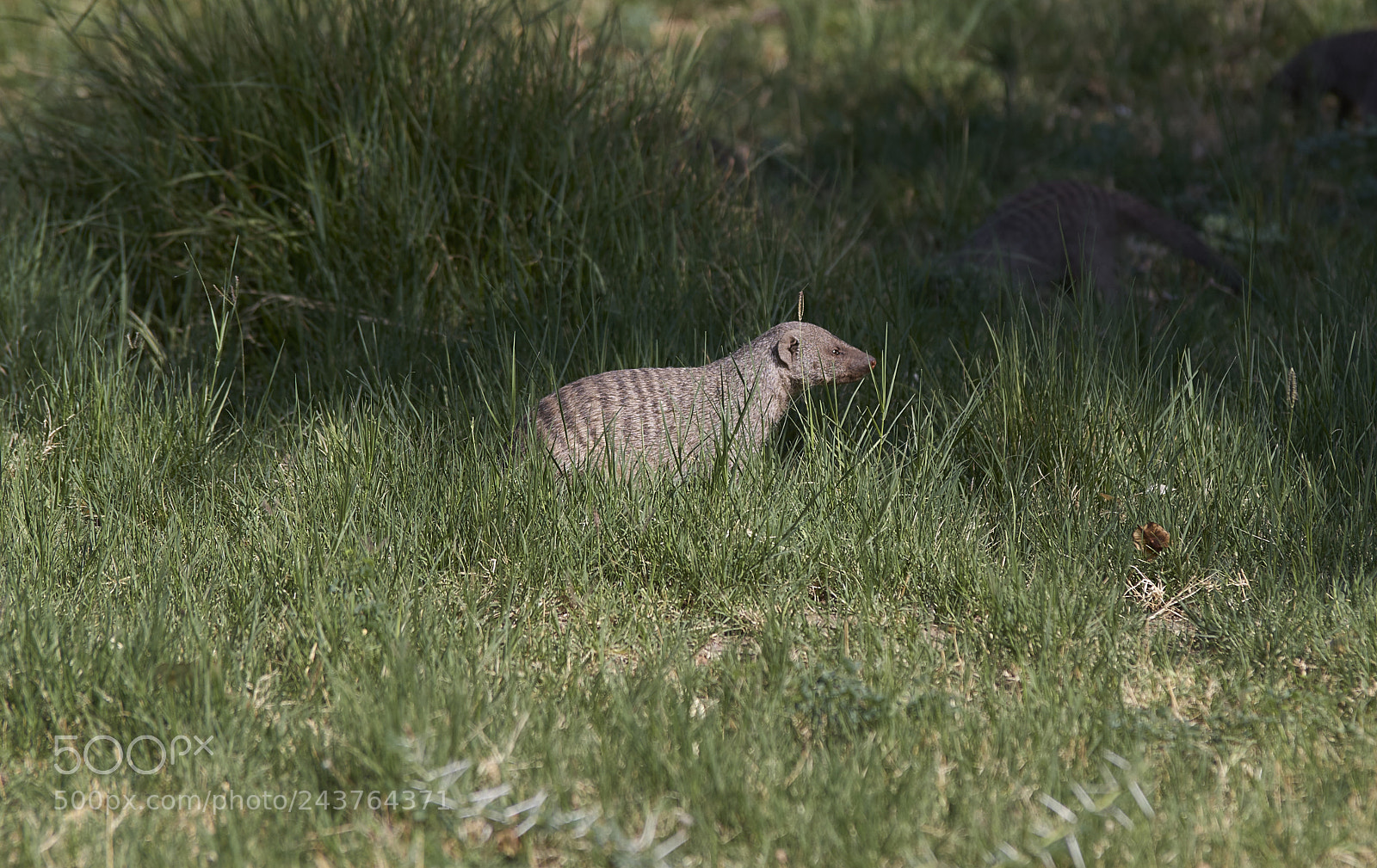 Pentax K-1 sample photo. Untitled photography