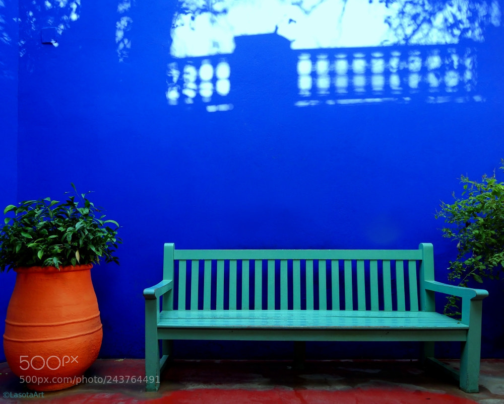 Panasonic Lumix DMC-GX8 sample photo. In the garden yves photography