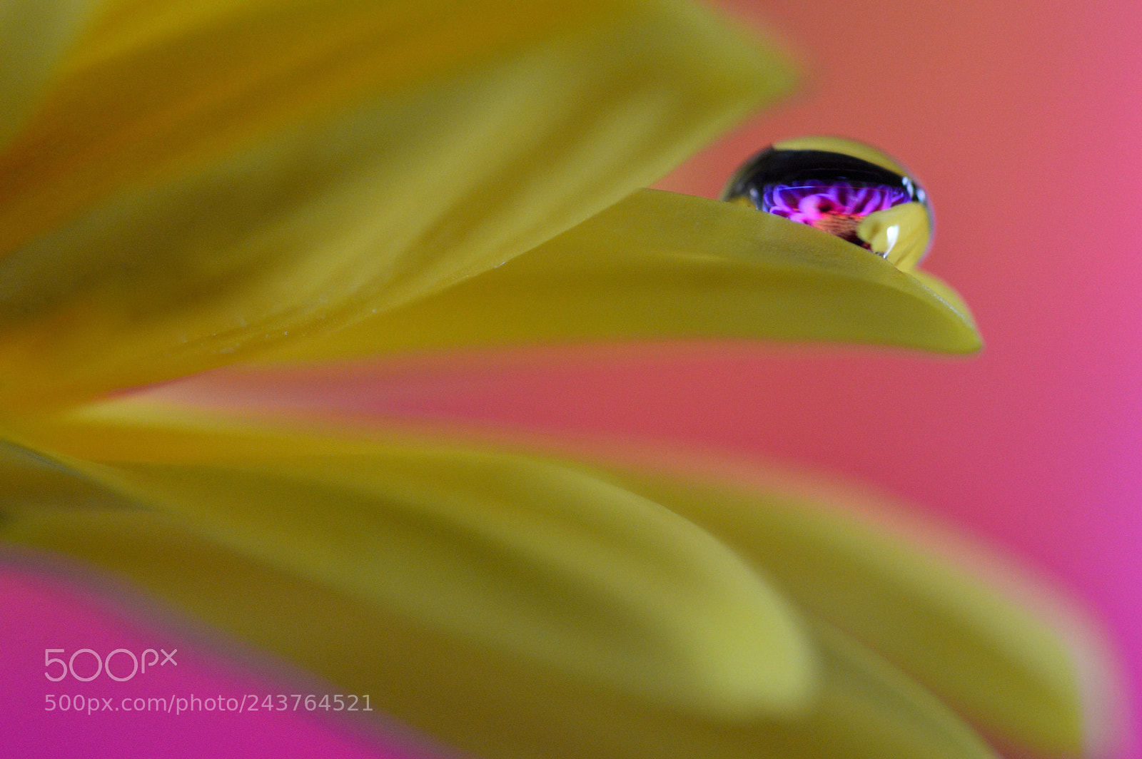 Nikon D3200 sample photo. In your eyes... photography