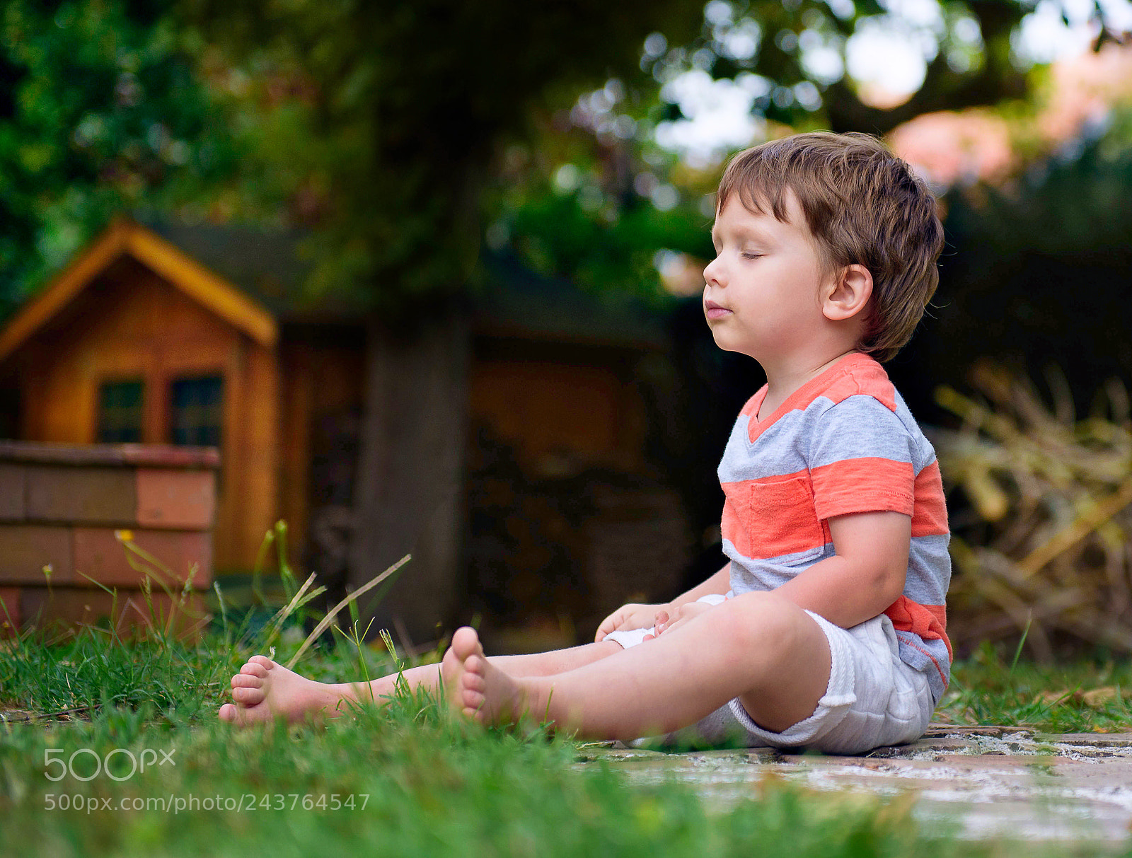 Nikon D750 sample photo. Happy little boy sitting photography