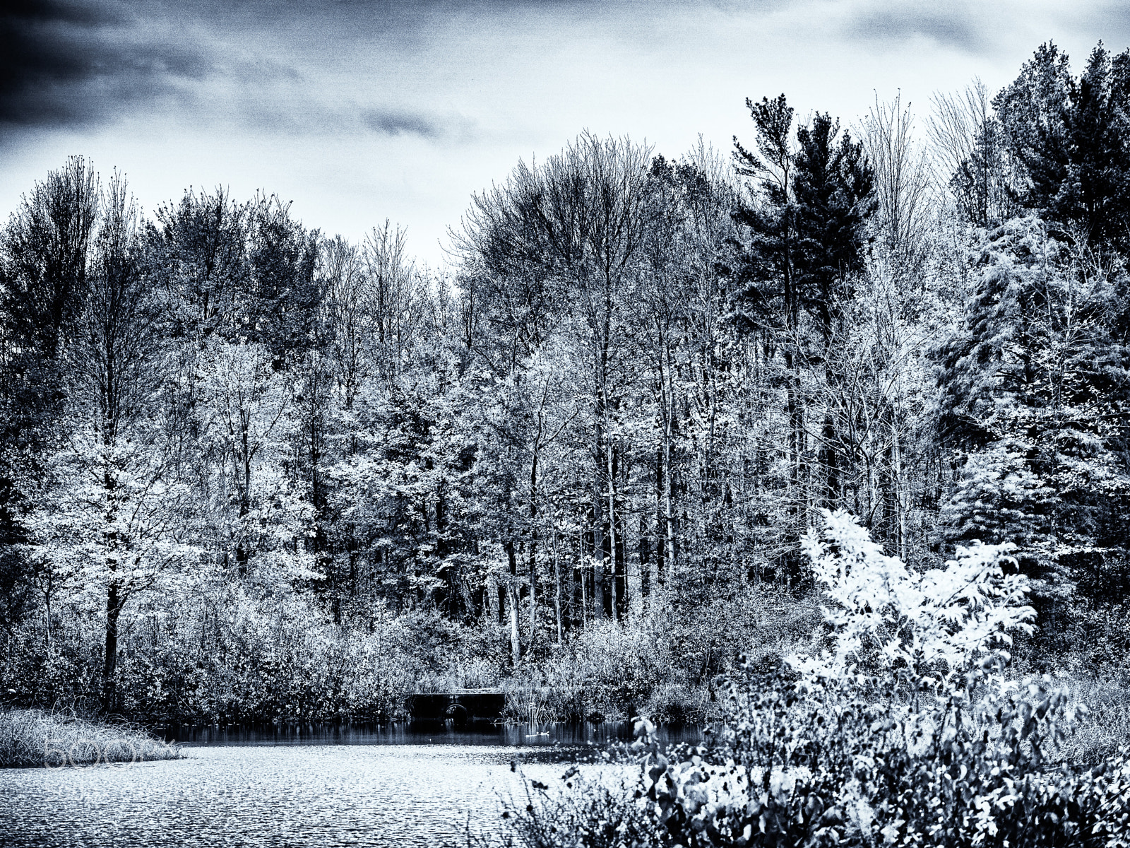 Olympus OM-D E-M10 II sample photo. Fall day photography