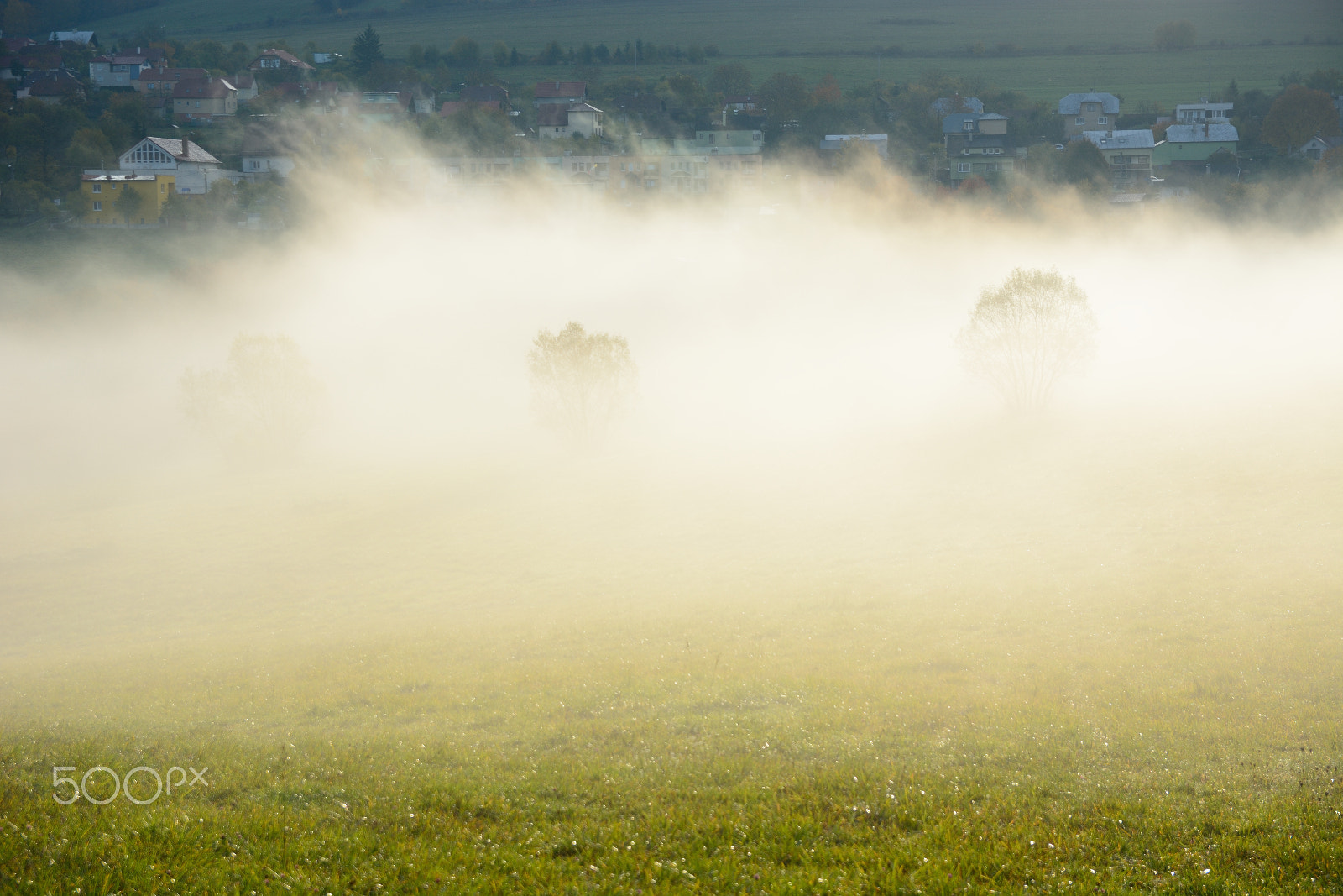 Sigma 17-50mm F2.8 EX DC OS HSM sample photo. ...and the fog will disappear... photography