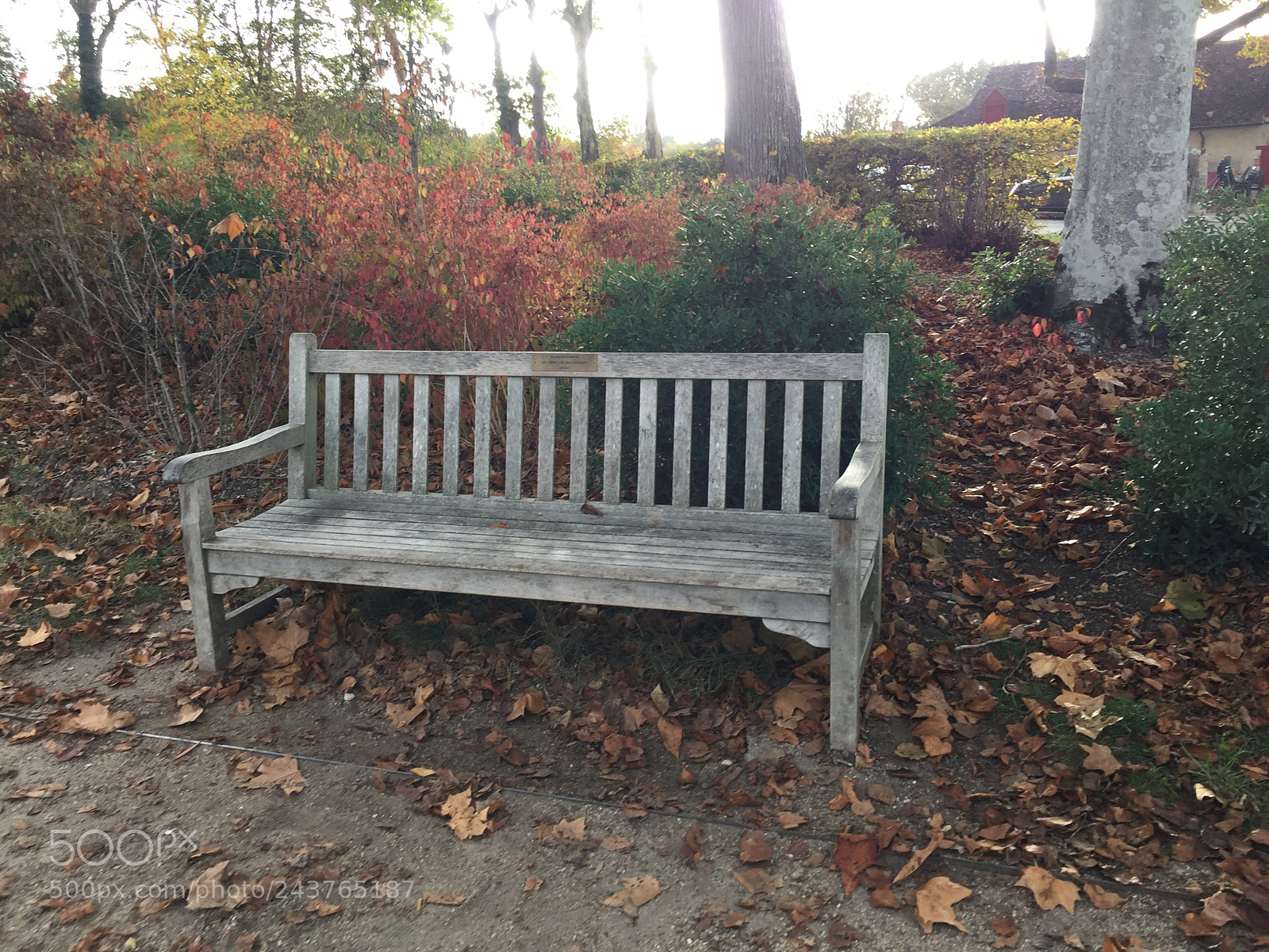 Apple iPhone 6 Plus sample photo. Untitled photography
