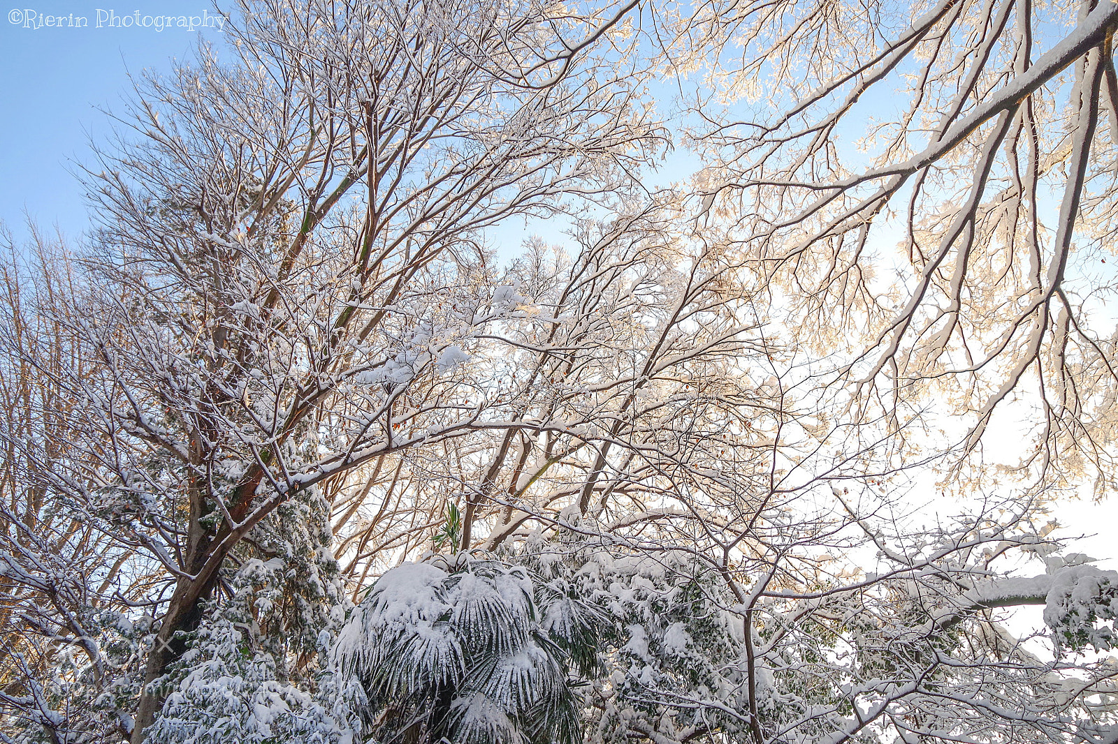 Pentax K-1 sample photo. With morning sunshine photography