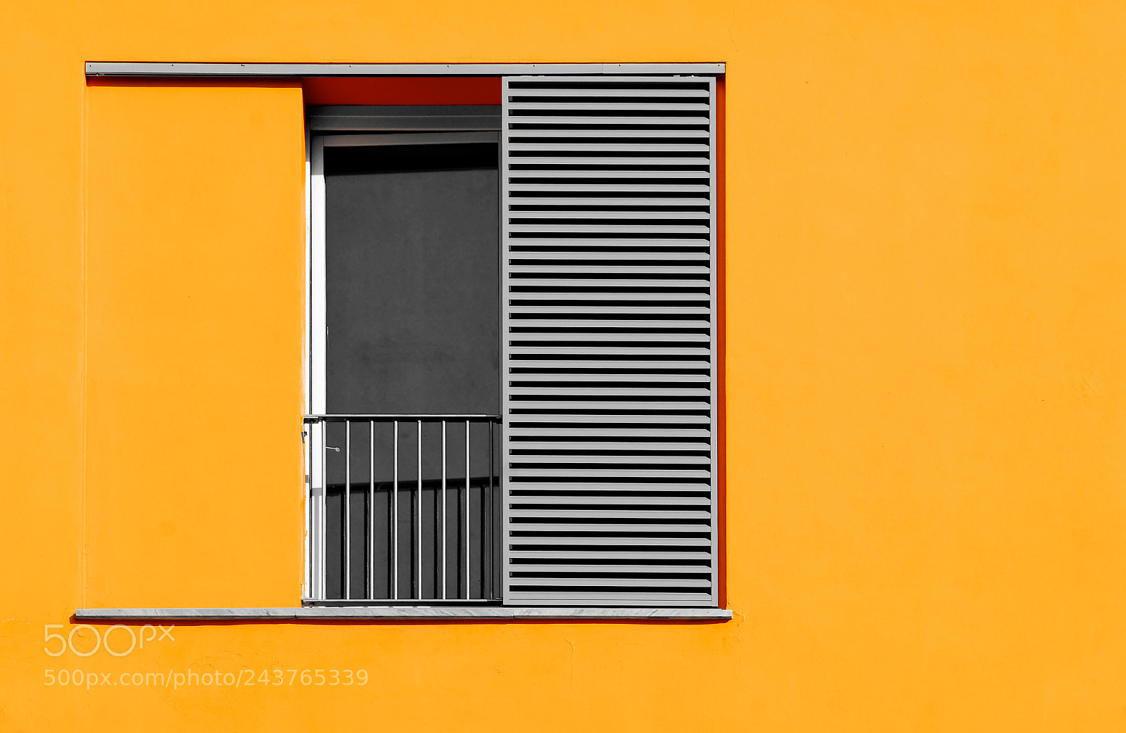 Nikon D200 sample photo. Gray on a yellow photography