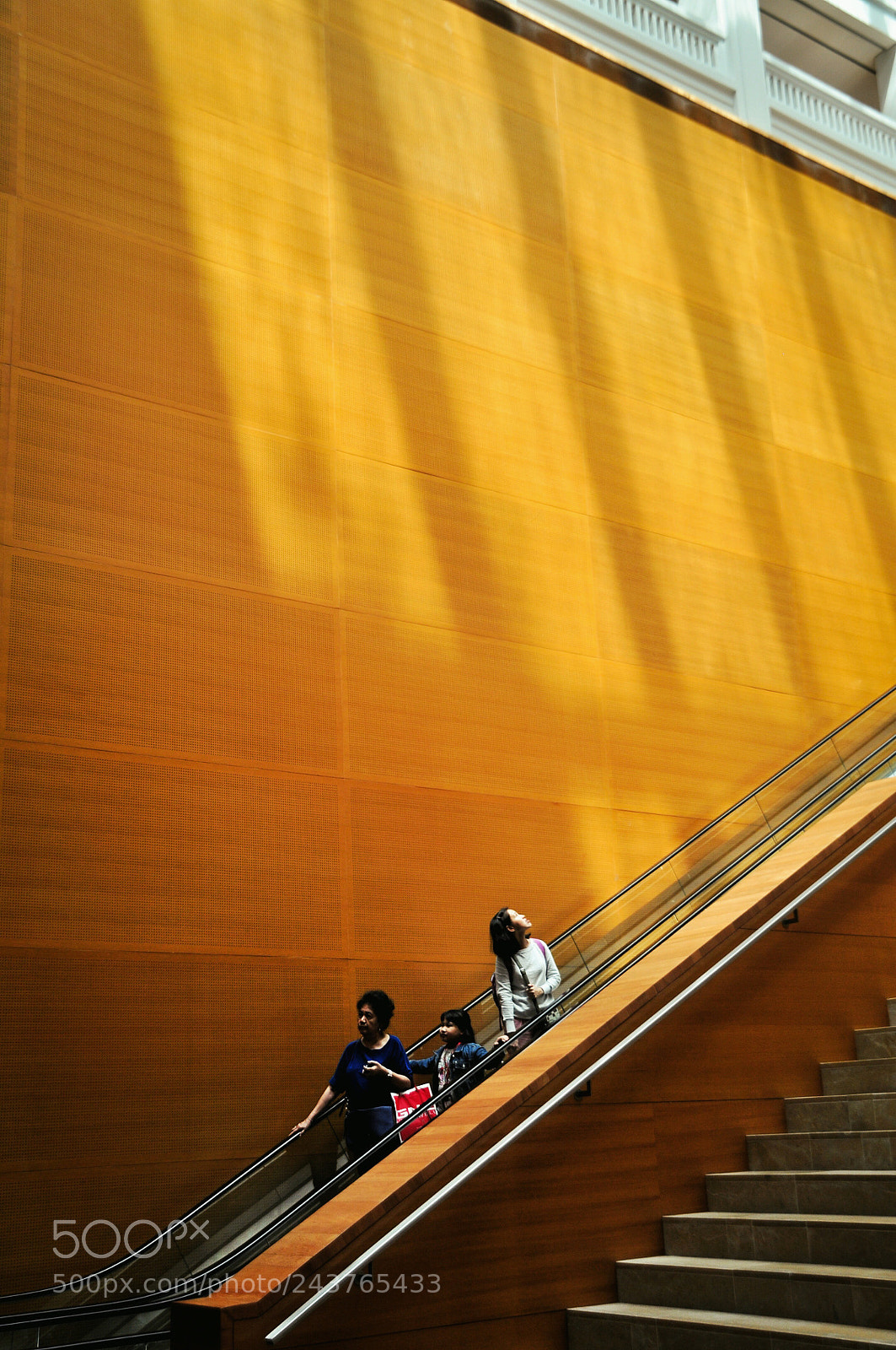 Nikon D5000 sample photo. Generations photography