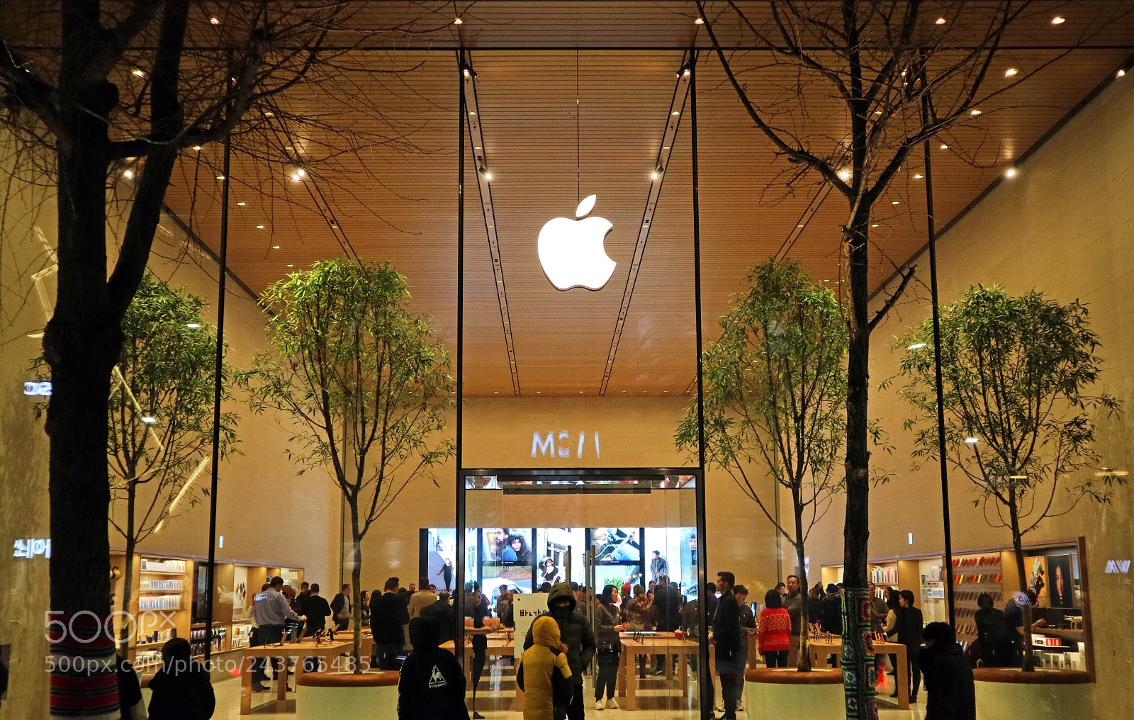 Canon EOS M3 sample photo. Apple store photography