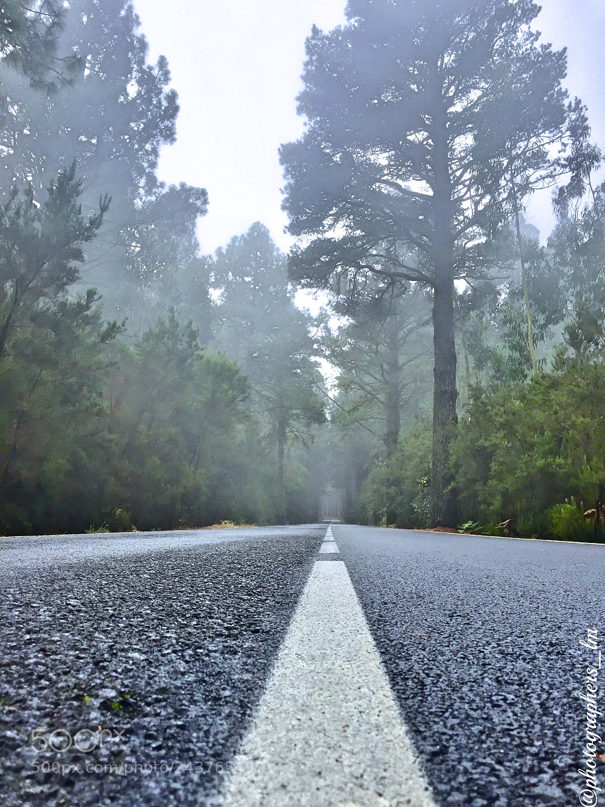 Apple iPhone 6 sample photo. A foggy day. photography
