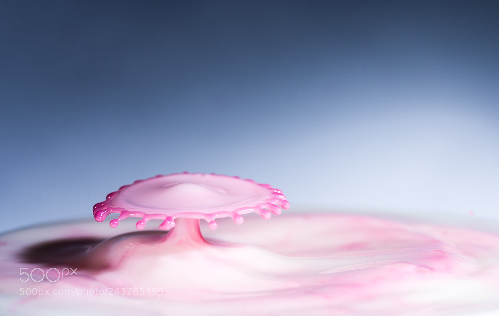 Nikon D750 sample photo. Milk water drop with photography