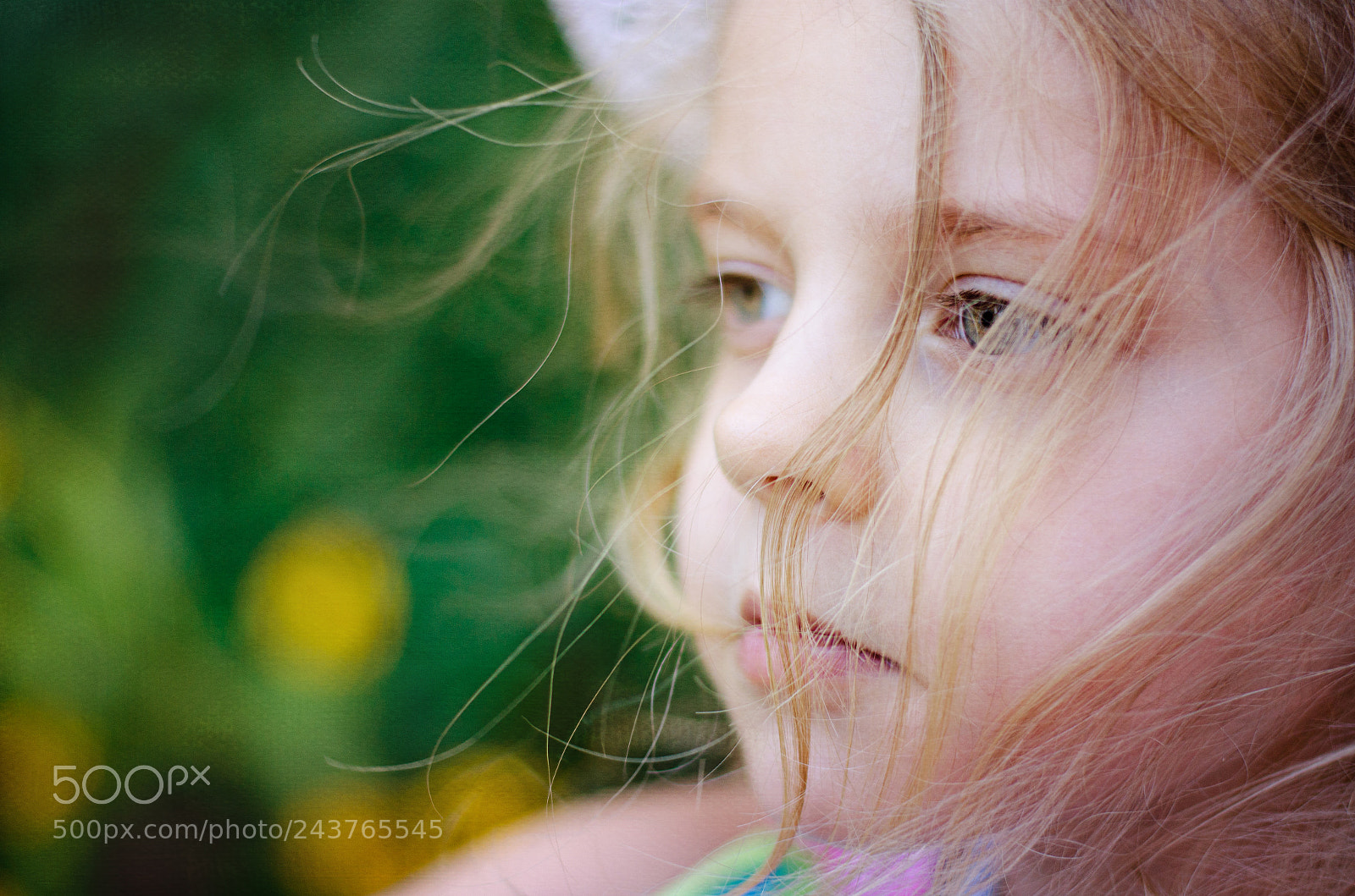 Nikon D5100 sample photo. *** photography