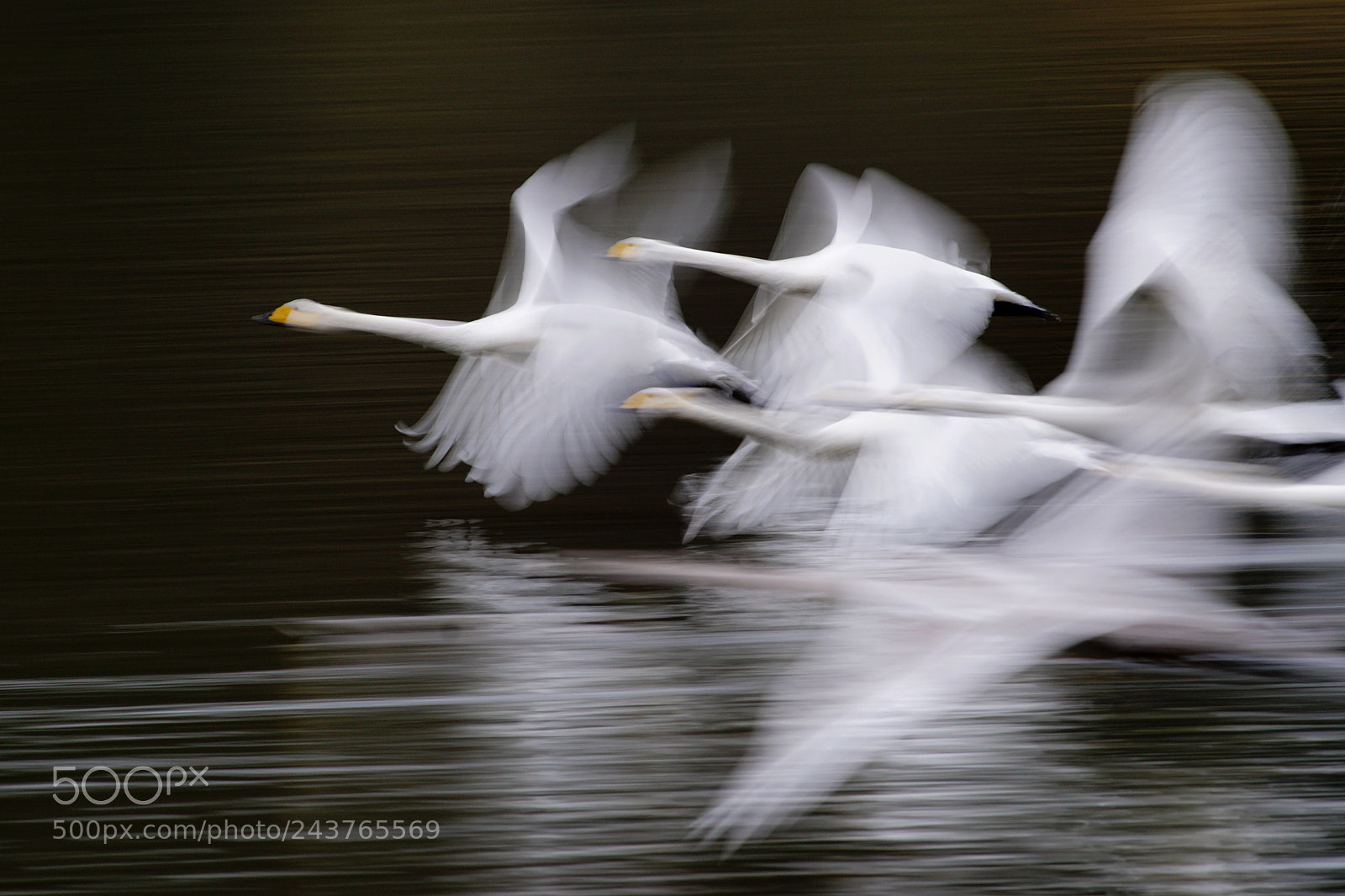Sony ILCA-77M2 sample photo. (beautiful motion) photography