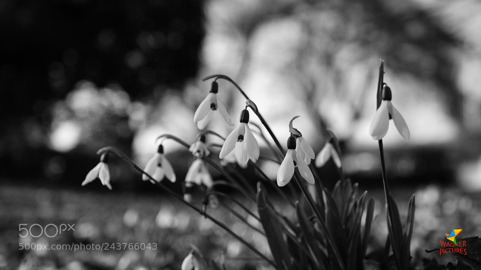 Fujifilm X-T2 sample photo. First out... photography