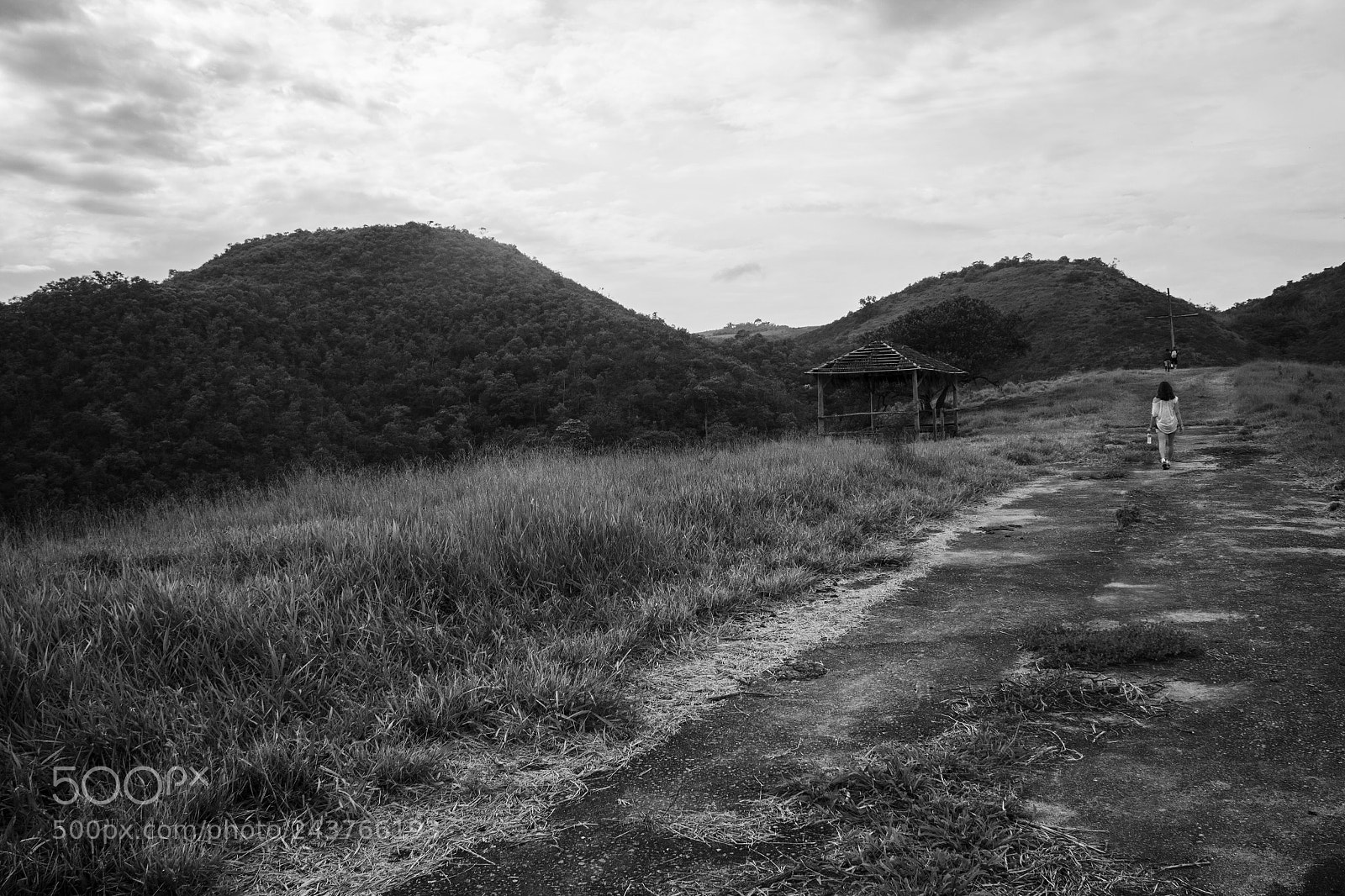 Canon EOS 60D sample photo. Free photography