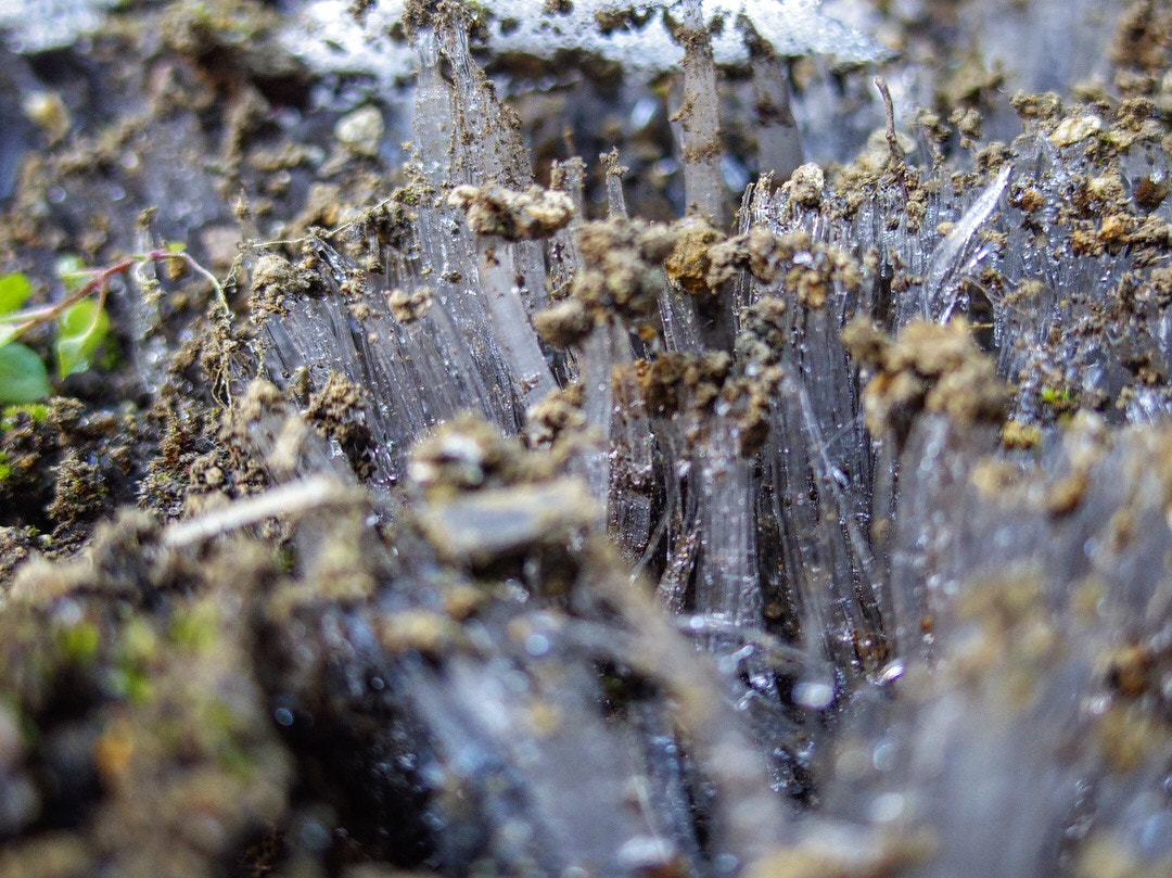 Pentax Q10 sample photo. Frost columns photography