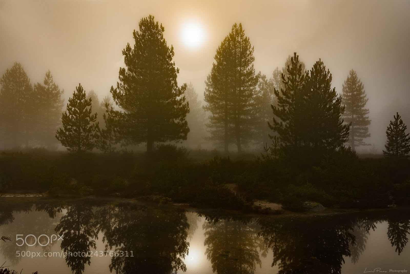 Nikon D7200 sample photo. Alvão sunrise. photography