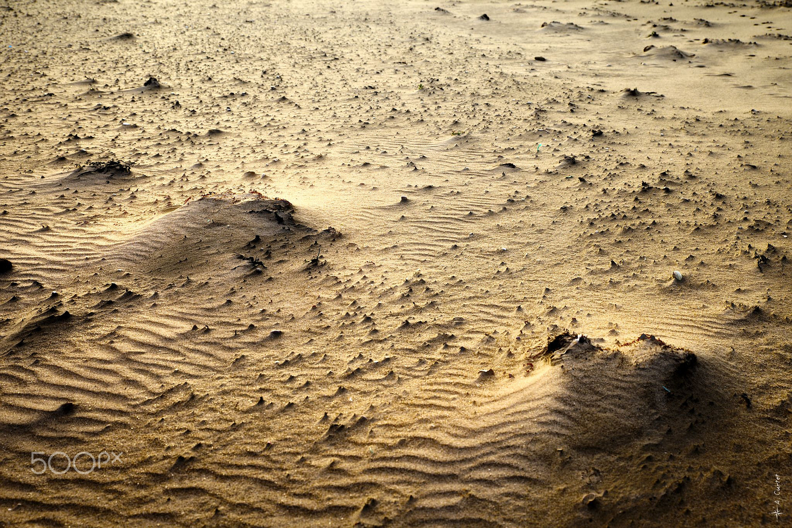 Canon EF 300mm F2.8L IS II USM sample photo. Sand ripples photography
