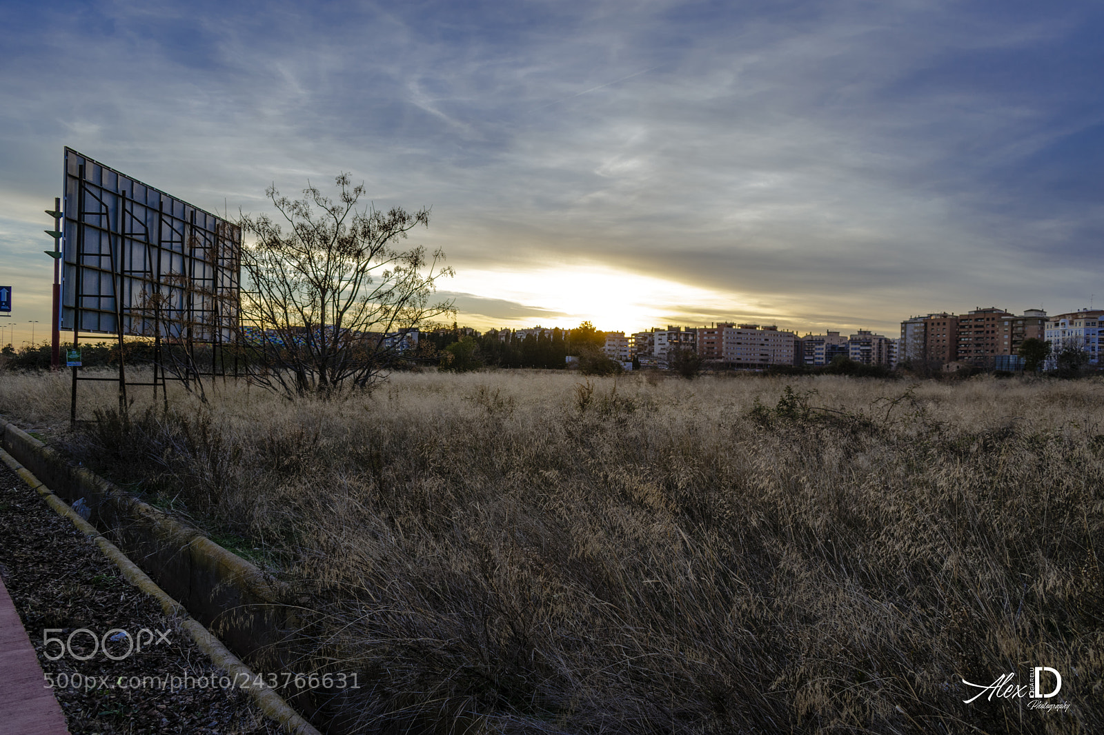 Nikon D3400 sample photo. West of the city photography