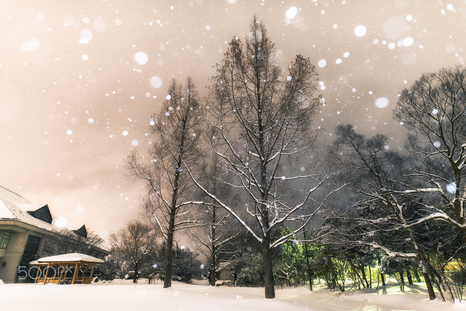 Nikon D810 sample photo. Snowing night photography