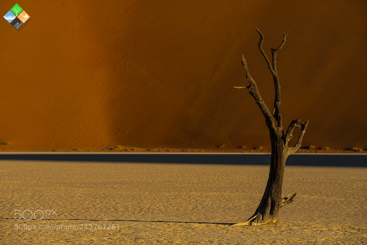 Fujifilm X-T2 sample photo. Alone in desert photography
