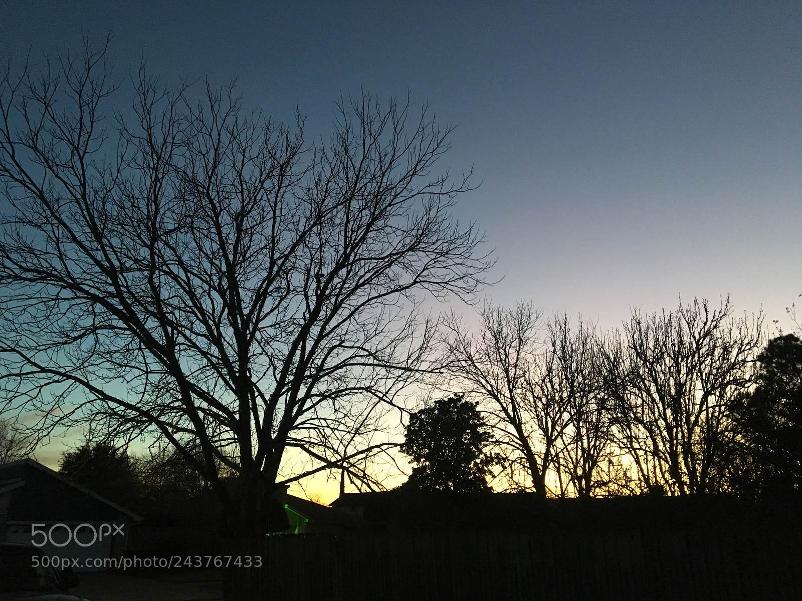 Apple iPhone 6s sample photo. Untitled photography