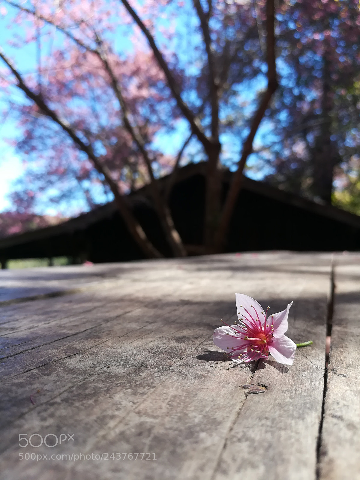 HUAWEI GR5 2017 sample photo. Untitled photography