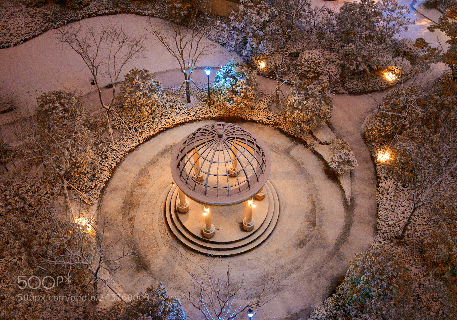 Sony a7 sample photo. Snowing garden photography